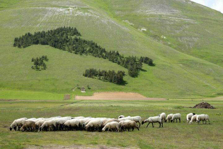 Hotel Europa Norcia Kültér fotó