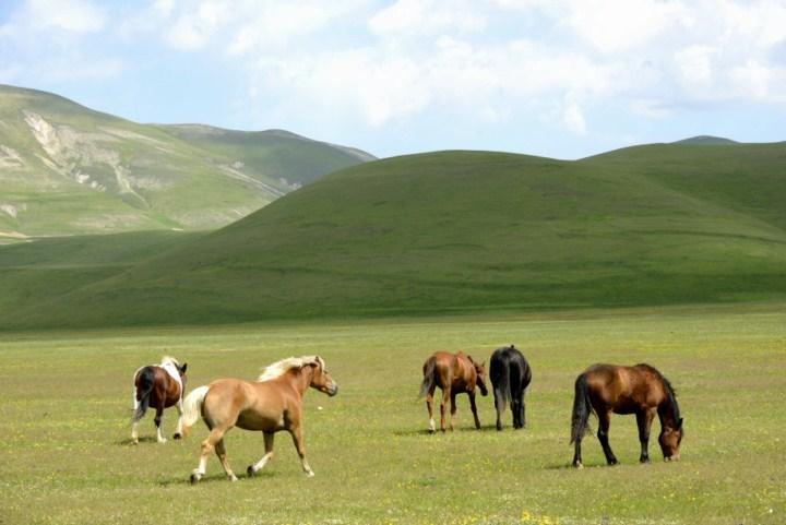 Hotel Europa Norcia Kültér fotó